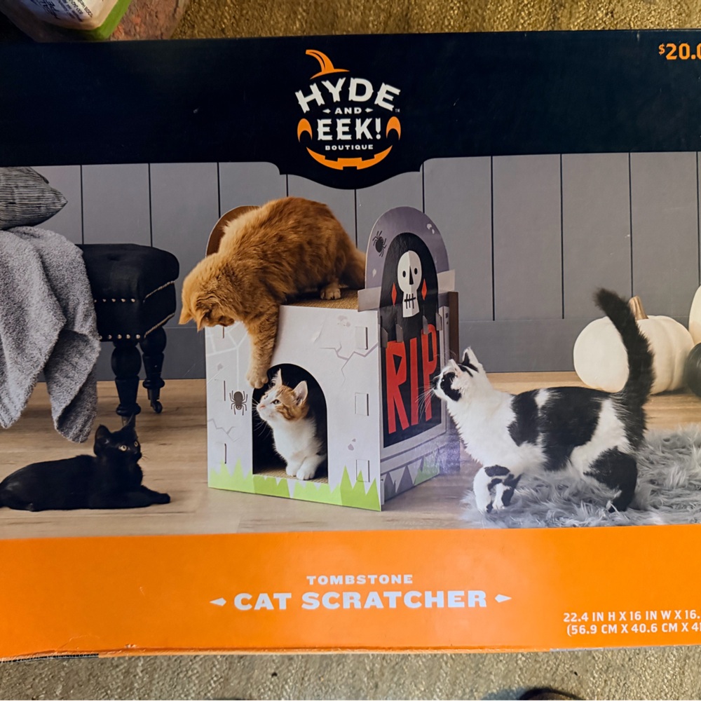 Tombstone Cat Scratcher - Multicolor